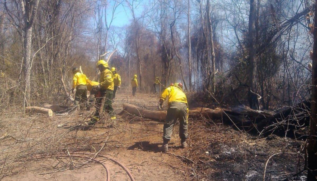 Trabajan en prevención de incendios forestales en la provincia 