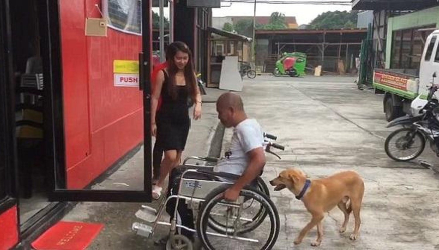 El video del perro que llevó a su dueño en silla de ruedas — Emocionó a todos El video del perro que llevó a su dueño en silla de ruedas — Emocionó a todos