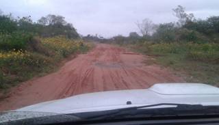 Reclaman por el infernal estado de la ruta provincial 8