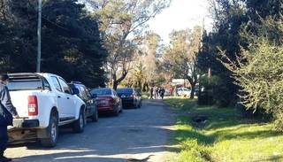 Dos pitbull atacaron a una travesti en Moreno