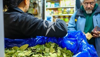La coca en Salta es parte de su historia
