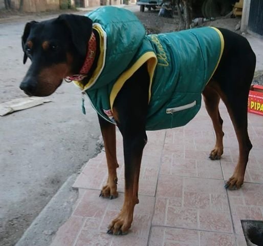 Tamy vino de vacaciones y se extravió - Tamy vino de vacaciones y se extravió