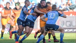 No habrá competencia para Jaguares en lo que queda del 2020