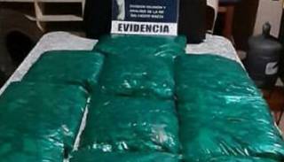 Un diputado trasladaba 25 kilos de hojas de coca