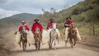 Gauchos marcharán el 8 de agosto, sin fogones ni Guardia Bajo las Estrellas