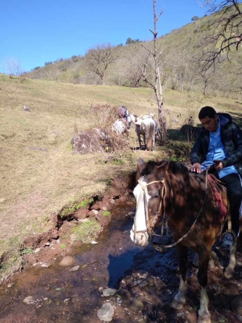 Vacunación en El Tala Vacunación en El Tala