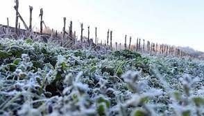 Tremenda helada en Salta: -5º de térmica en el inicio de semana
