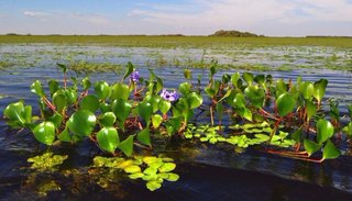 Ambientalistas de Entre Ríos y Uruguay se movilizarán en defensa del Acuífero Guaraní