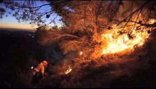 Incendios forestales