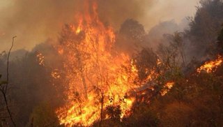 Un helicóptero salteño se sumó a las tareas para sofocar un incendio en Tarija