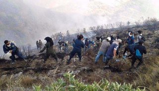 Voraz incendio en Tarija produjo dos muertes