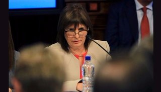 En el Senado, Bullrich aseguró que "todas las hipótesis están abiertas" en la investigación
