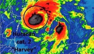 Harvey arribará esta noche