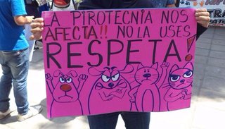 Analizan la prohibición parcial de la pirotecnia