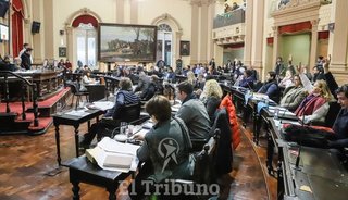 Media sanción de Diputados para la emergencia comercial en toda la provincia