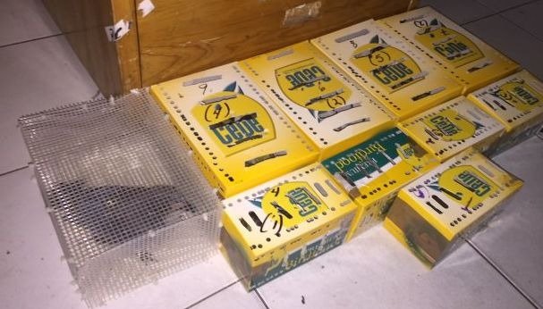 Cayó en el aeropuerto con 80 pájaros en las valijas: la mayoría de las aves murió