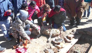 Dieron de comer a la tierra en Olaroz Cauchari