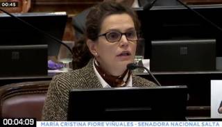 Fiore: "Este proyecto no va a las causas del embarazo no deseado"