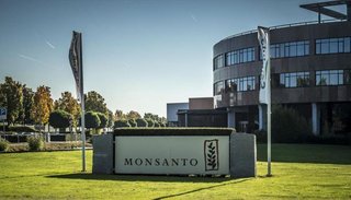 Monsanto deberá indemnizar con cerca de US$ 290 millones a un jardinero que contrajo cáncer al usar sus herbicidas