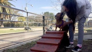 Tucumán tiene la primera plaza para mascotas de la Argentina