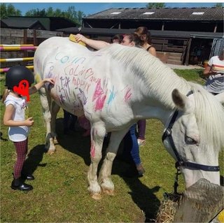 Polémica por nueva moda de pintar un pony en los cumpleaños