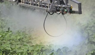 Canals, el pueblo fumigado donde más de la mitad de las muertes del último año fueron por cáncer