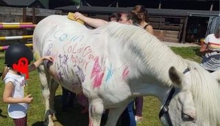 Polémica por nueva moda de pintar un pony en los cumpleaños