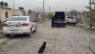 El feto devorado por los perros tenía entre 28 y 30 semanas de gestación