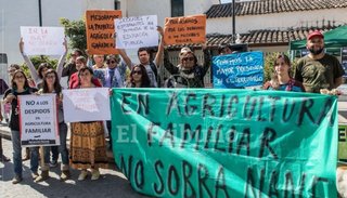 Universitarios siguen de paro y profundizan el plan de lucha