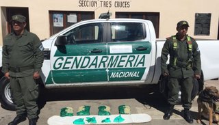 La perra "Taty" halló cocaína escondida en paquetes de hojas de coca