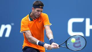 Del Potro avanza a paso firme en EEUU