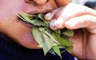 La rebelión de los coqueros: “Ni loco ‘vamo’ a 'paga' $ 2.200 el kg, ni mucho menos”