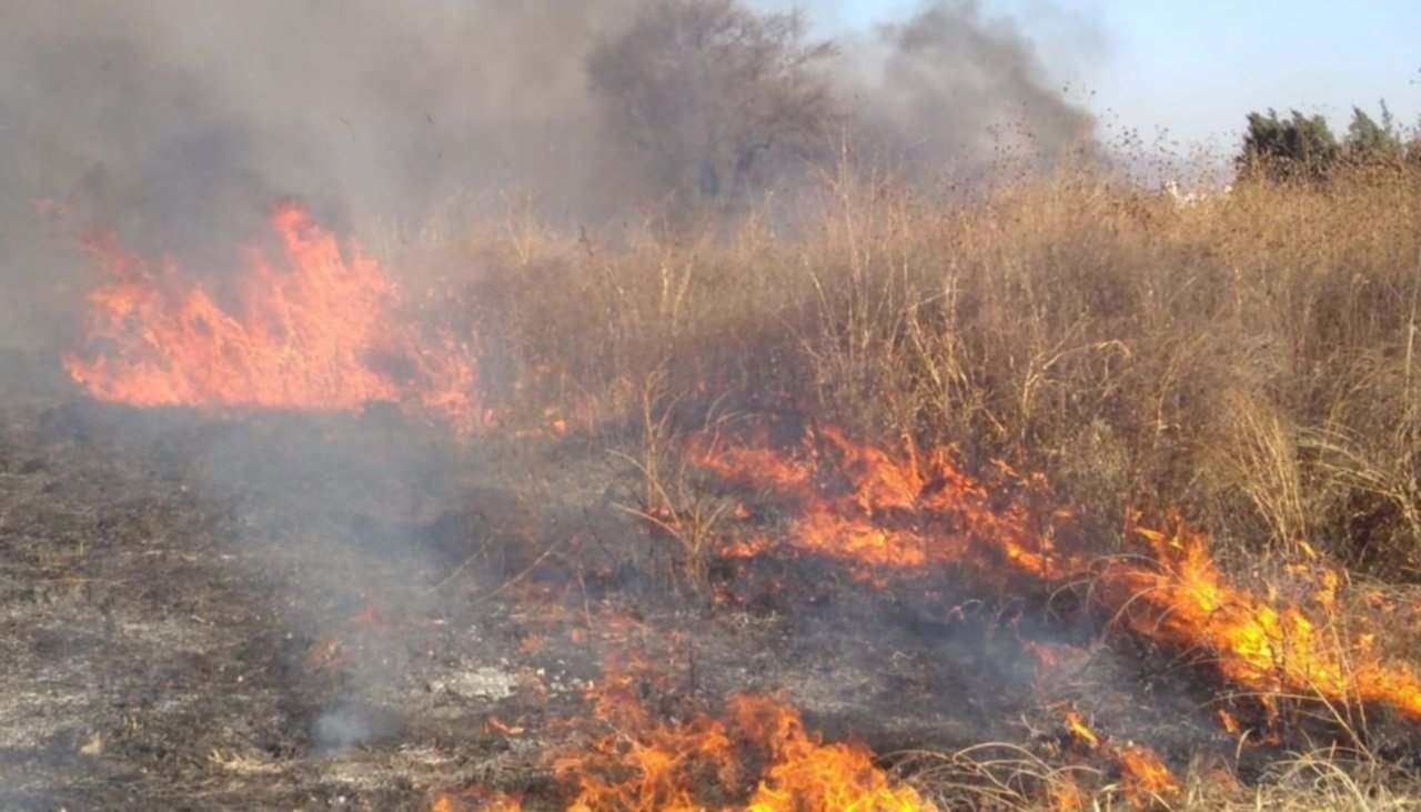 Video Incendio De Pastizales Casi Llega A Las Casas En Zona Sur