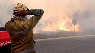 Declaran la emergencia agropecuaria por los incendios en Córdoba
