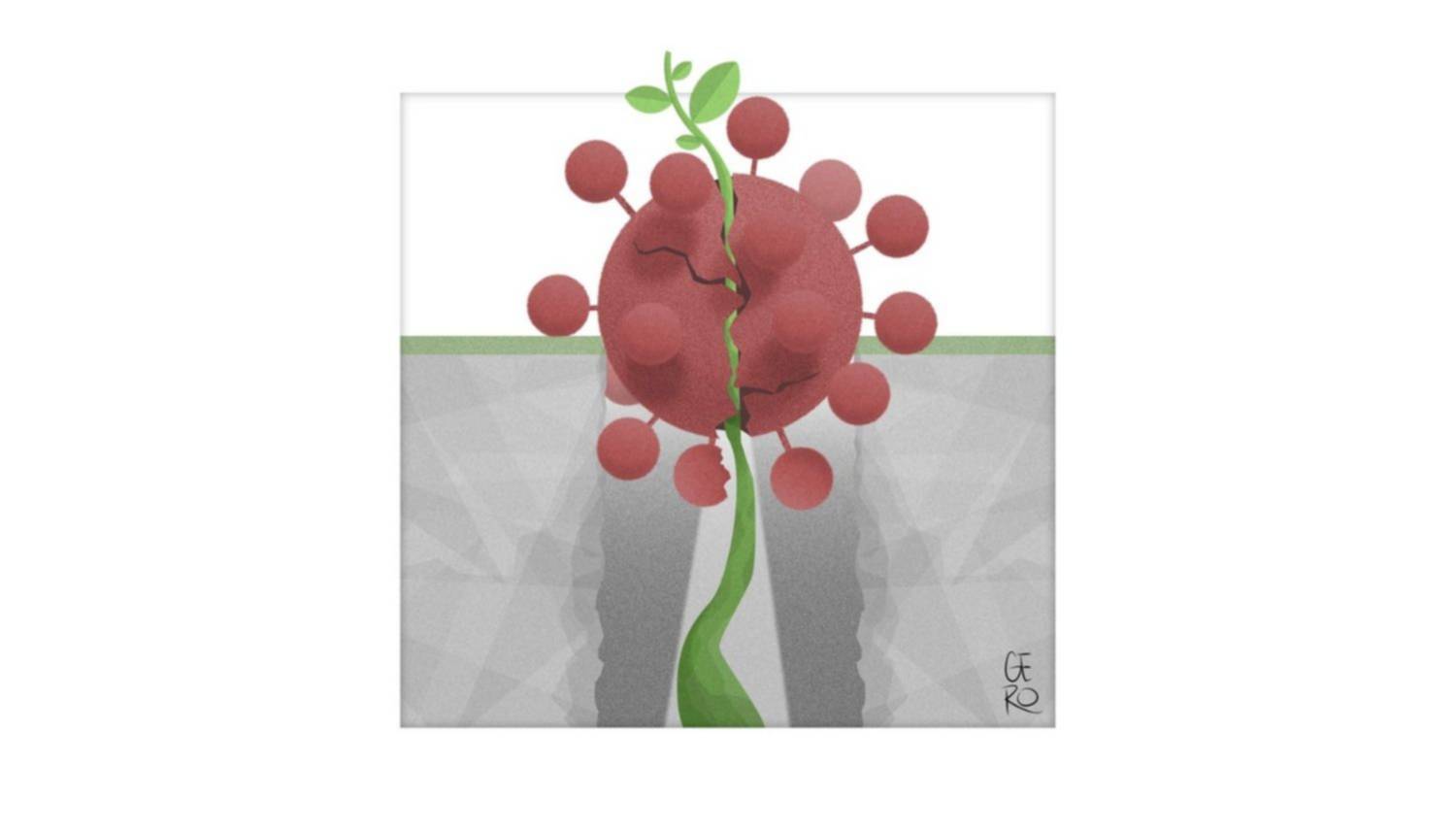 Pensamos juntos, en cuarentena