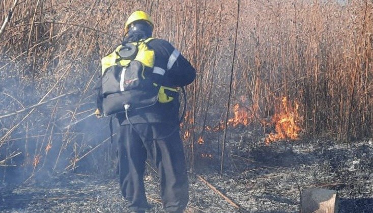 Se Quemaron Más De Seis Hectáreas En Tres Incendios