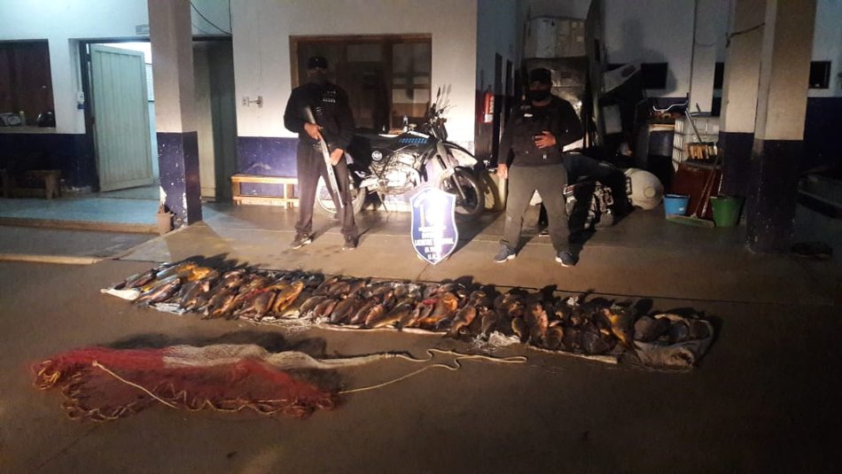  Cruel y absurda depredación de peces en el río Dorado