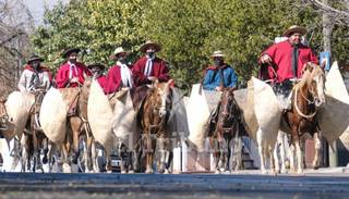 VIDEO. Entusiasmo en la marcha patriótica por el Bicentenario del fallecimiento de Güemes