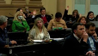 Diputados dio media sanción al proyecto para suspender las PASO