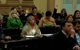 Diputados dio media sanción al proyecto para suspender las PASO