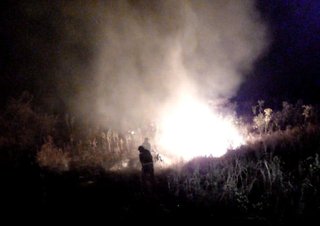 VIDEOS. Voraz incendio arrasa una vasta zona de yungas y avanza hacia el Parque Nacional Calilegua