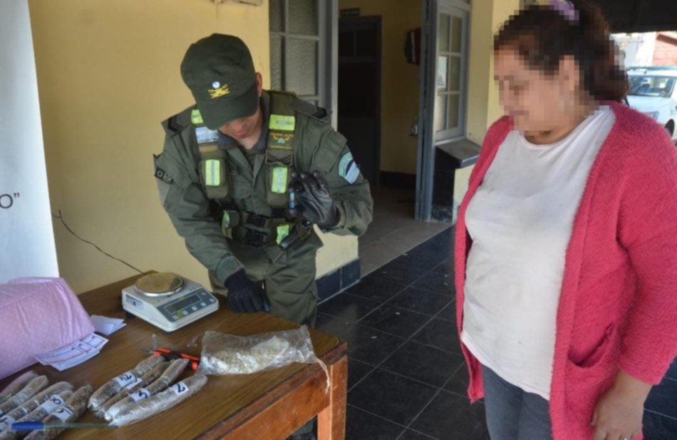 Can detectó cocaína en un nido de contención para bebés
