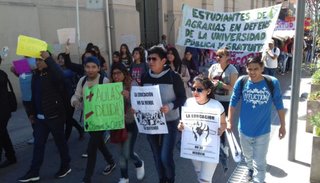 Estudiantes marchan por la "universidad pública"