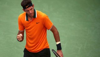 Del Potro: "No puedo creer que vuelva a jugar la final"