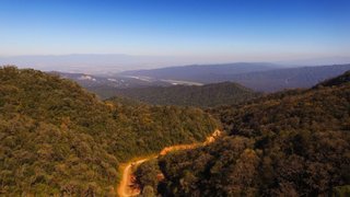Galería: La mística natural del Parque Nacional Calilegua y Valle Grande