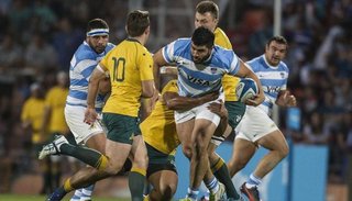 Los Pumas visitan al fuerte Australia