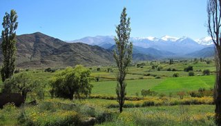 Diaguita Calchaquí: punto de inflexión en el conflicto por la tierra