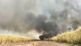 VIDEO: impresionantes imágenes del incendio en Campo Santo