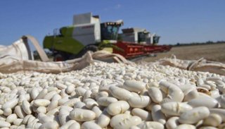 Productores salteños piden recalcular las retenciones aplicadas a las especialidades