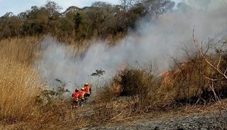 Bomberos voluntarios trabajan arduamente en múltiples tareas